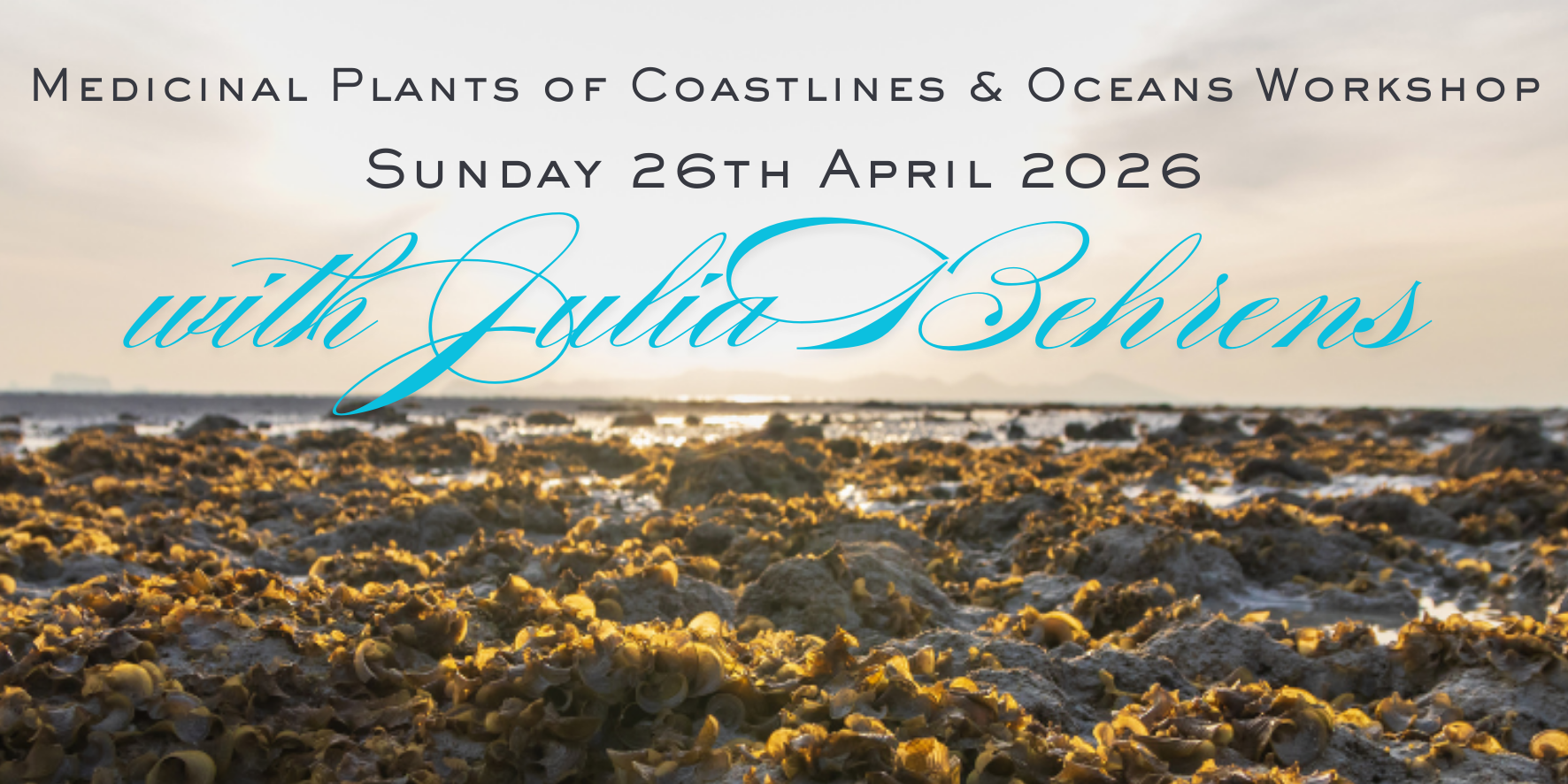 Medicinal Plants of Coastlines & Oceans Workshop